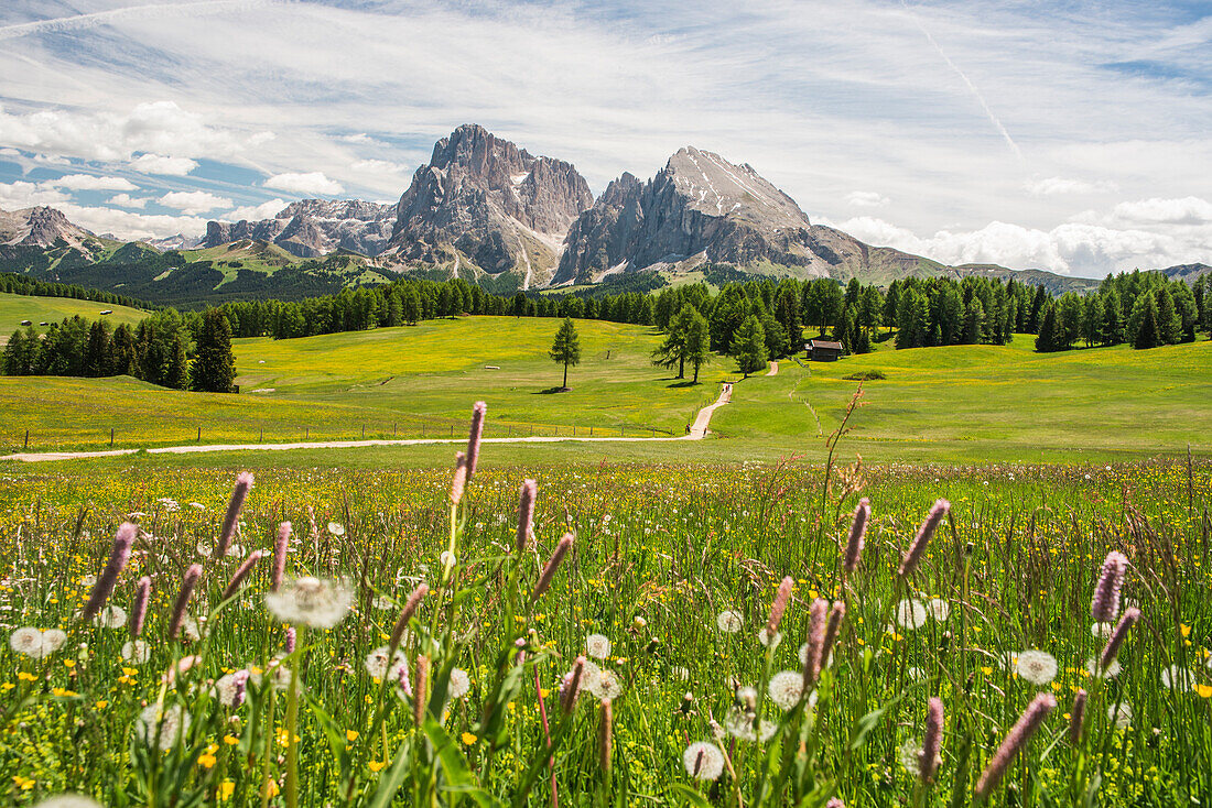 Seiser Alm, Dolomiten, Südtirol, Italien