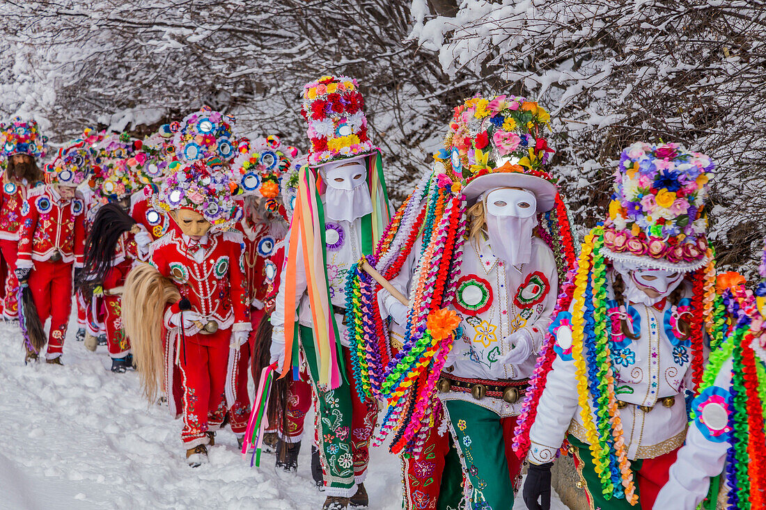 Aosta Valley (Valle d’Aosta), Europe,Italy, Allein, Alpine Carnival Coumba Freida