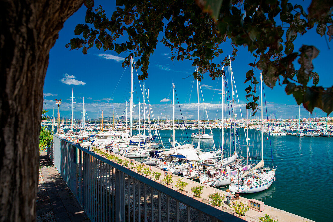 Alghero Hafen, Sassari Provinz, Sardinien, Italien, Europa