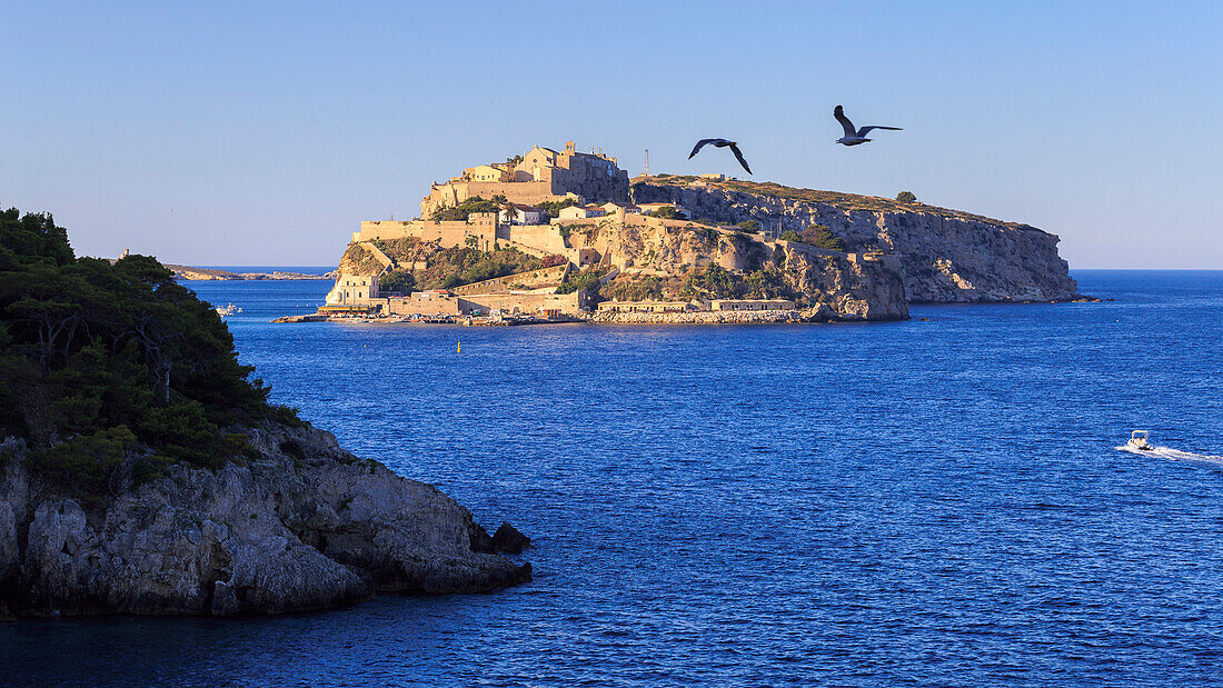Insel San Nicola, die durch Sonnenuntergangsonne, Tremiti-Insel, Foggia, Puglia, Italien