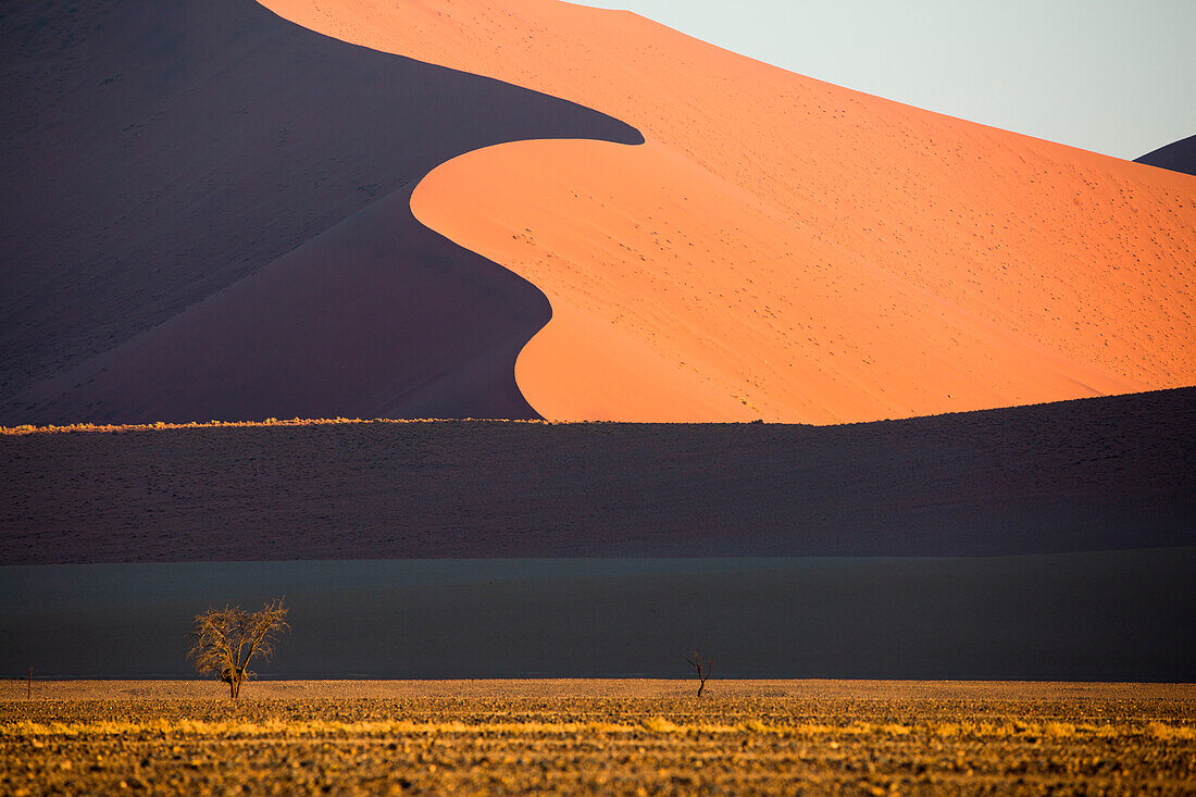 Namib desert, sand dunes, Namibia, Africa