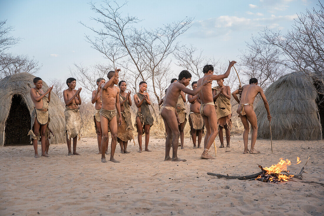 Men and women dancing in Bushman Hunters Living History Village, Grashoek, Otjozondjupa, Namibia, Africa