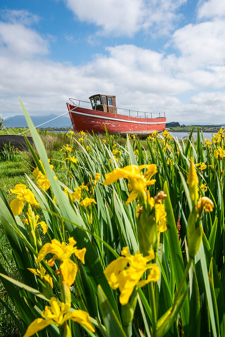 Hölzernes Fischerboot in Roundstone, Co, Galway, Connacht-Provinz, Irland