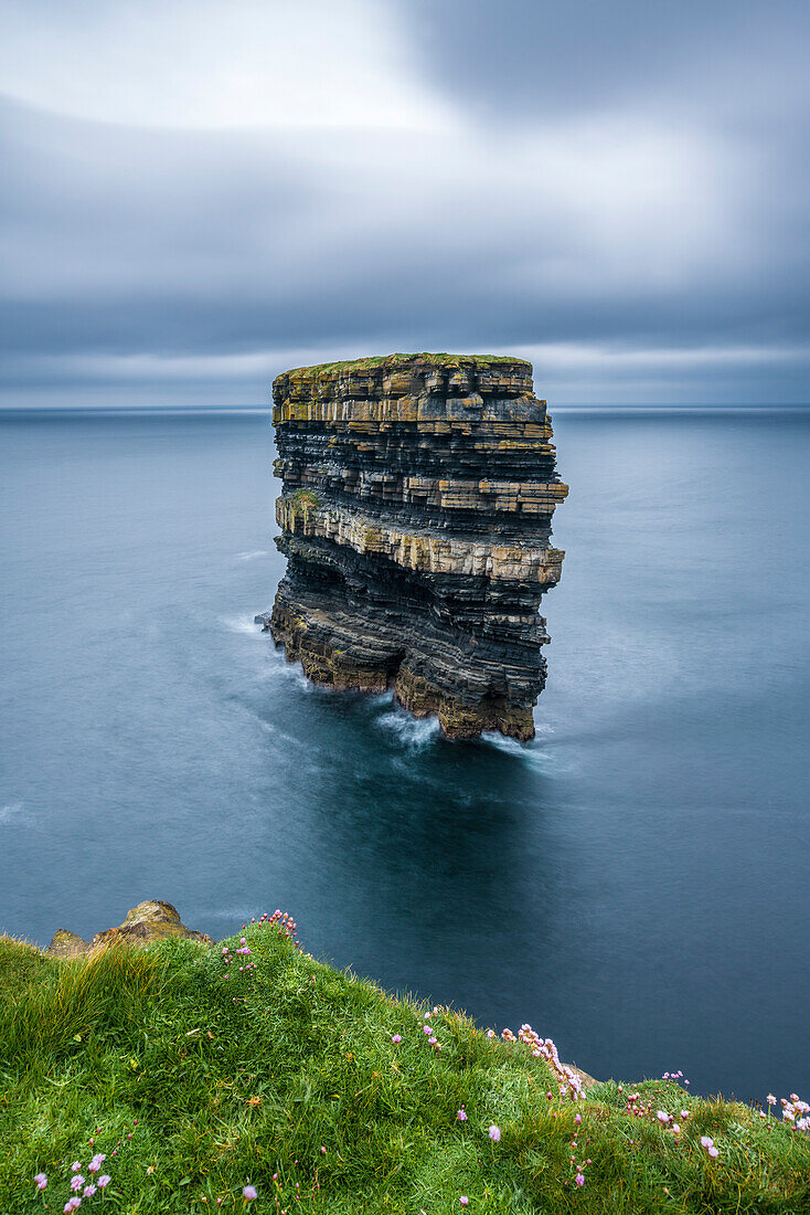 Downpatrick Kopf mit Gras im Vordergrund, Ballycastle, Co, Mayo, Connacht Provinz, Irland