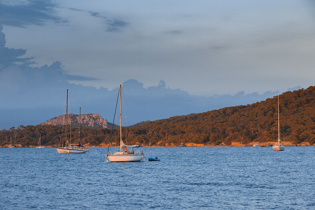 Mooring sailboats during the sunset (Ile de Porquerolles, Hyeres, Toulon, Var department, Provence-Alpes-Cote d'Azur region, France, Europe)