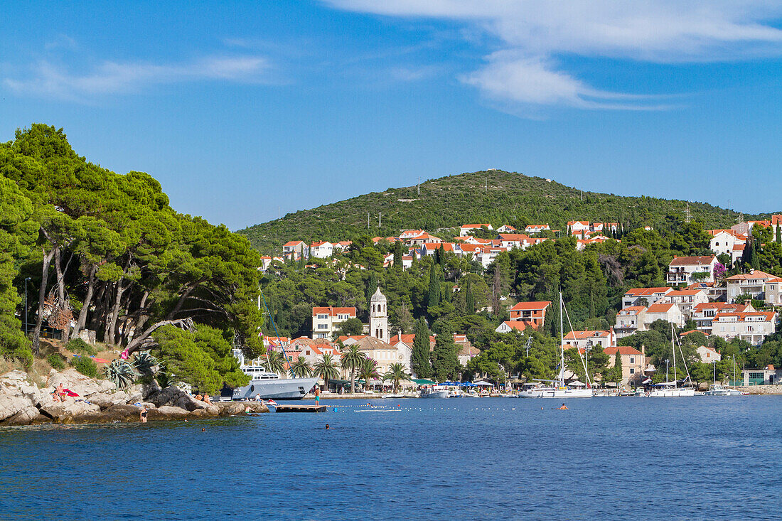 Cavtat Dorf und Hafen, Blick vom Meer (Konavle, Dubrovnik, Dubrovnik-Neretva, Dalmatien, Kroatien, Europa)