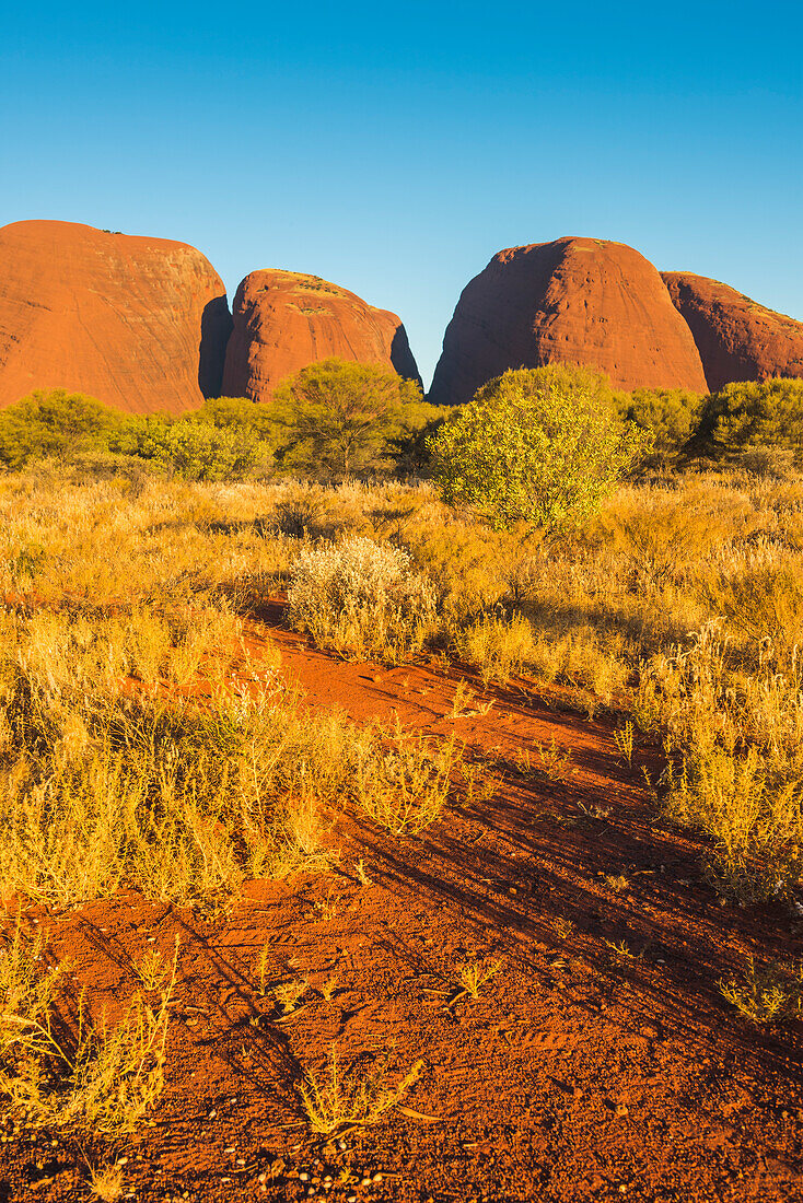 Uluru-Kata Tjuta National Park, Northern Territory, Central Australia, Australia, Sunset at Kata Tjuta (The Olgas)