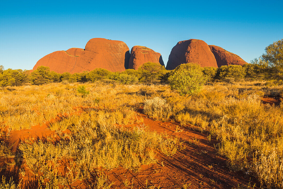 Uluru-Kata Tjuta Nationalpark, Northern Territory, Zentralaustralien, Australien, Sonnenuntergang bei Kata Tjuta (der Olgas)