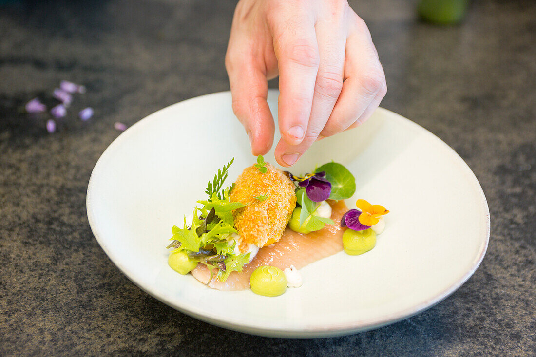 die Mise en place von Lachs mit gebratenen Zucchini, Provinz Bozen, Südtirol, Trentino Alto Adige, Italien