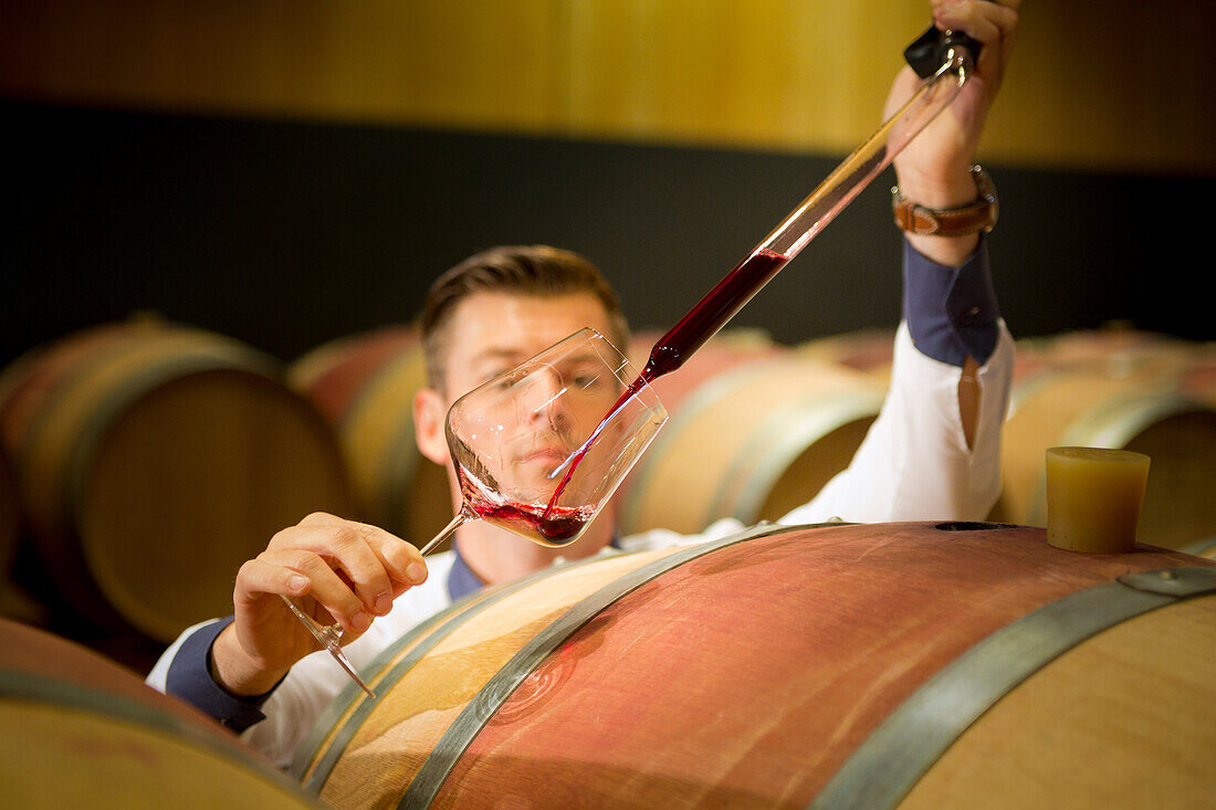 the wine quality check: the expert put a sample of wine into a glass, bolzano province, south tyrol, trentino alto adige, italy
