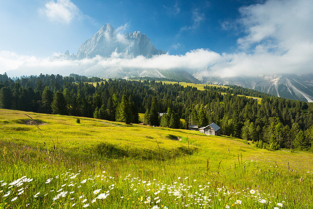 Blick auf das Würzjoch (Passo delle Erbe) mit Peitlerkofel im Hintergrund, Provinz Bozen, Südtirol, Trentino-Südtirol, Italien