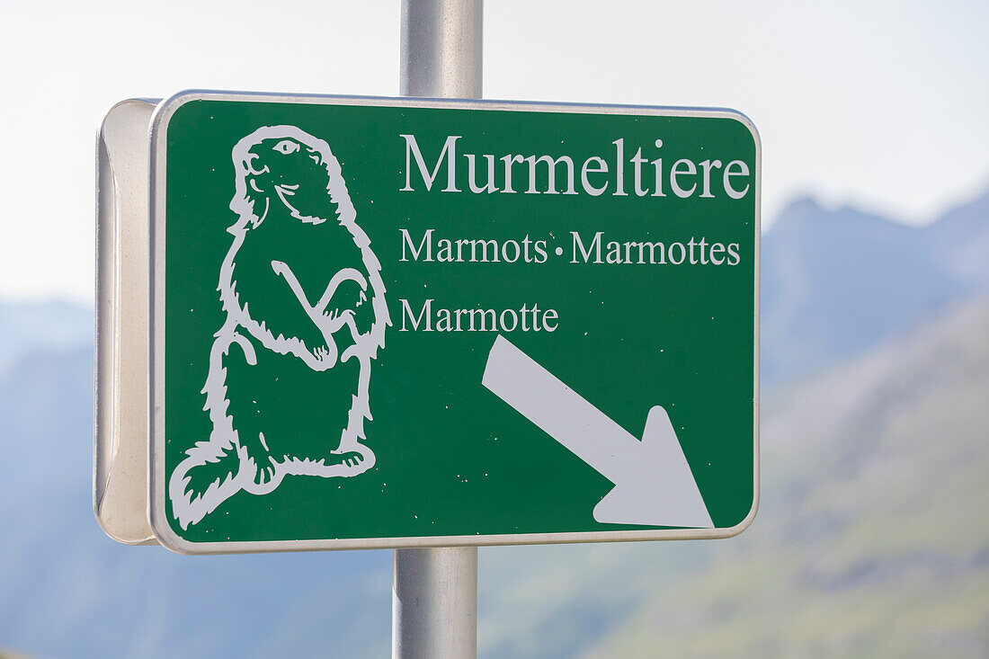 Sign Murmeltiere, deutsch für Murmeltier oder Murmeltier, Großglockner Hochalpenstrasse, Hochalpenstraße, Österreich