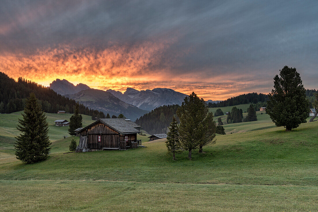 Alpe di Siusi/Seiser Alm, Dolomites, South Tyrol, Italy, Sunrise on the Alpe di Siusi