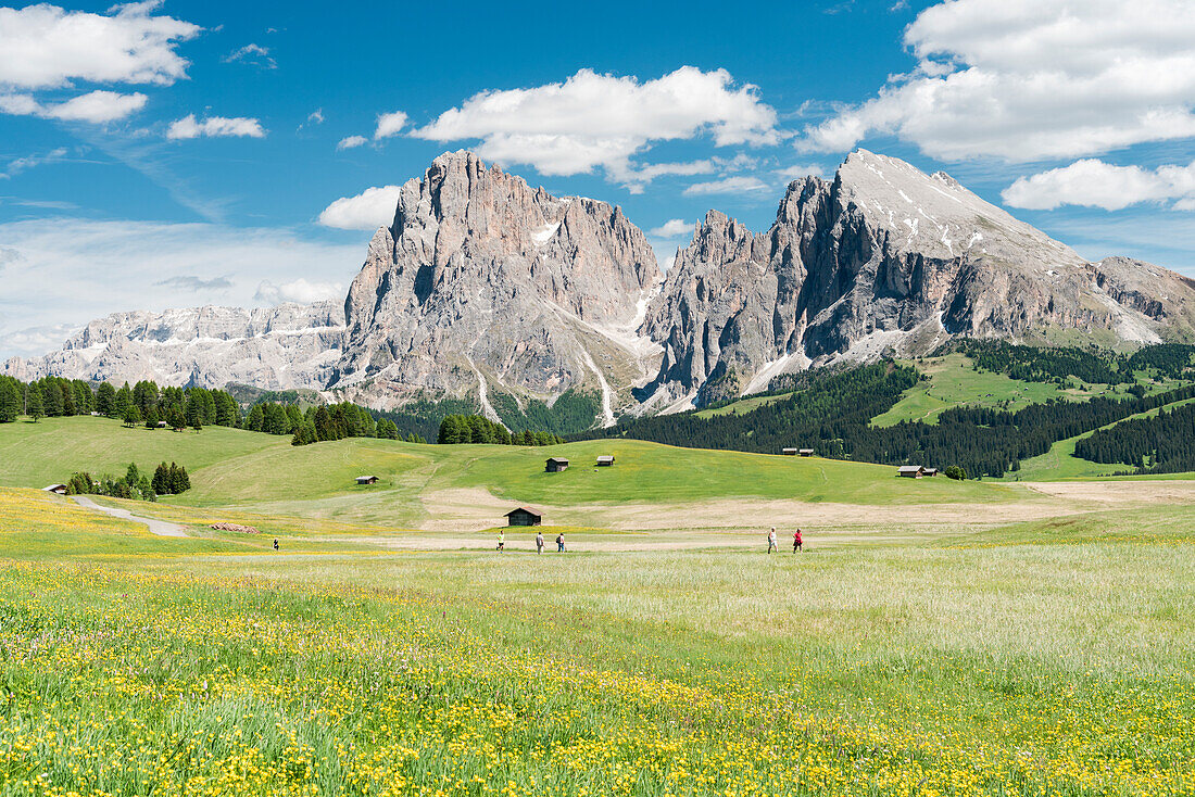 Alpe di Siusi/Seiser Alm, Dolomites, South Tyrol, Italy