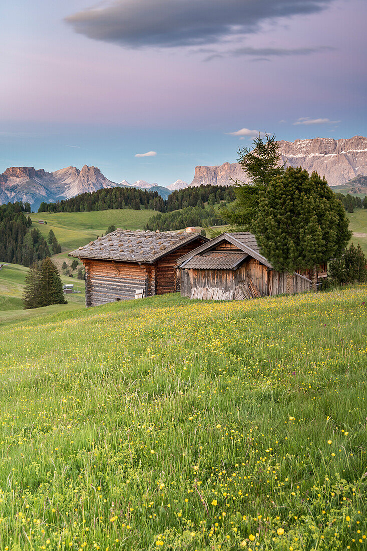 Seiser Alm, Dolomiten, Südtirol, Italien, Abenddämmerung auf der Seiser Alm