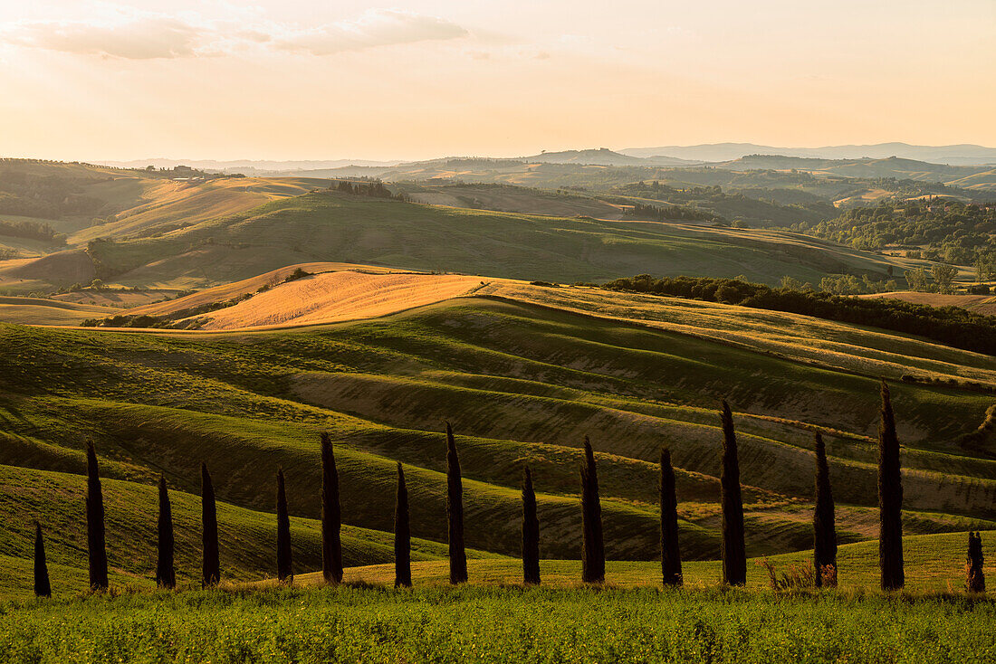 Hills of Crete Senesi at Sunset, Asciano, Siena Province, Tuscany region, Itlay, Europe