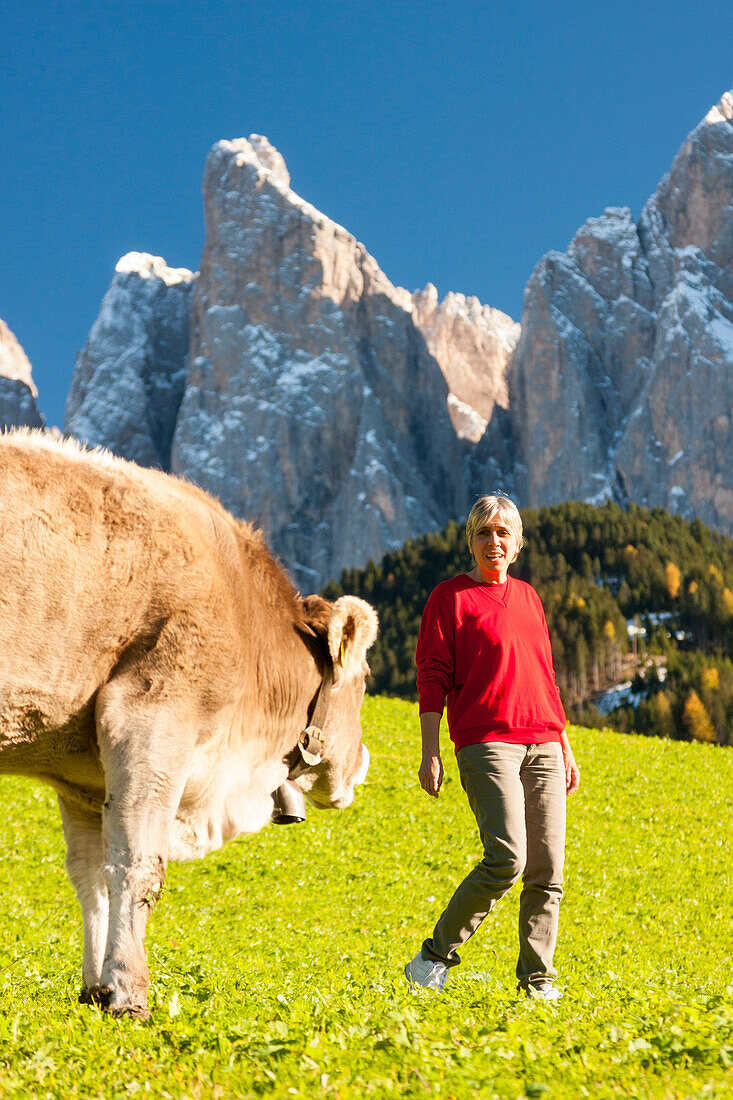 Pastures in Val di Funes, Trentino Alto Adige, Italy