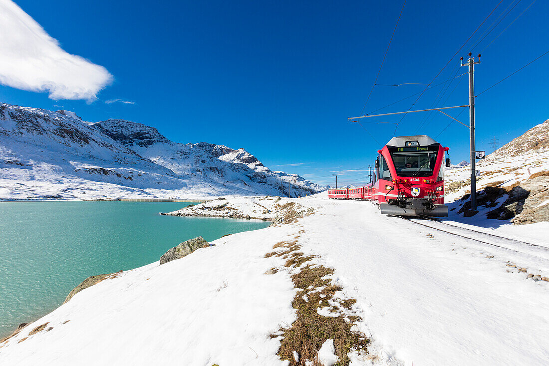 Bernina Express train in the snowy valley surrounded by Lake Bianco Bernina Pass Canton of Graubünden Engadin Switzerland Europe