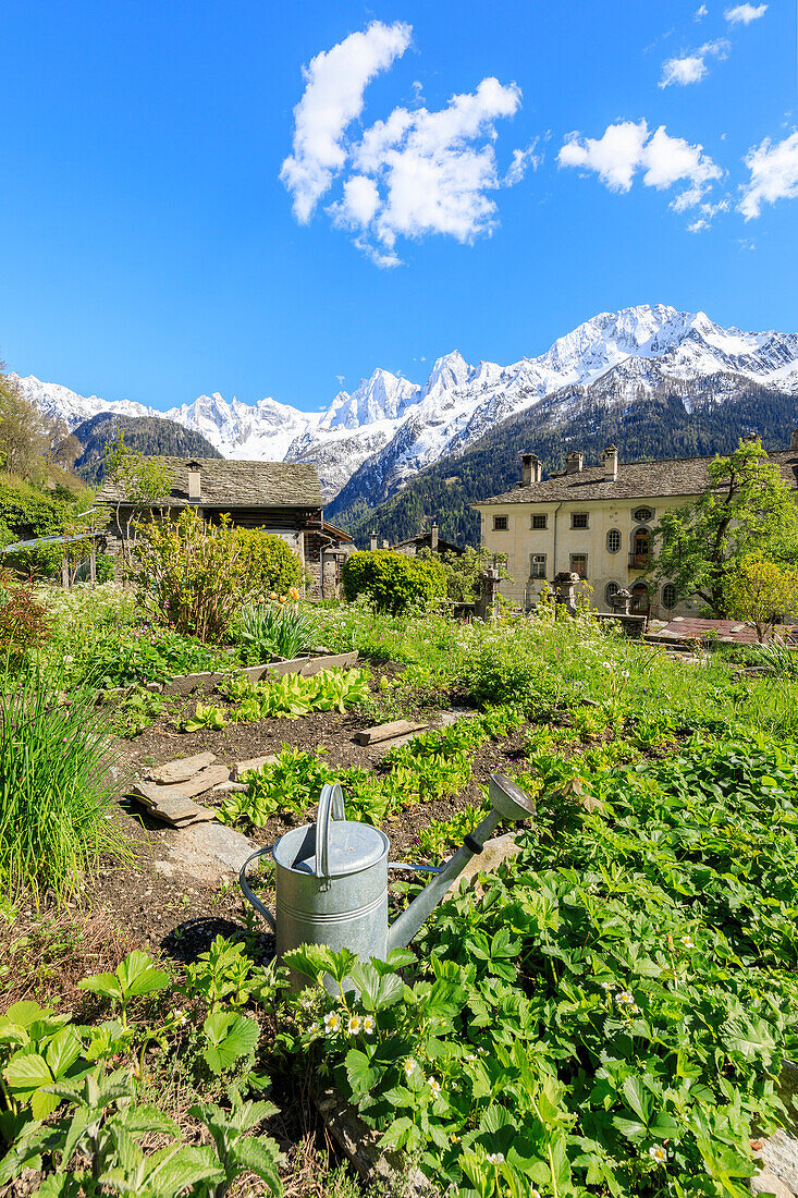 Vegetable gardens around the alpine village of Soglio Maloja canton of Graubunden Engadin Bregaglia Valley Switzerland Europe
