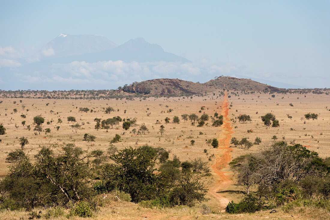 Ein Blick auf den Löwenfelsen im Lualenyi Game Reserve, Tsavo, Kenia, Ostafrika, Afrika