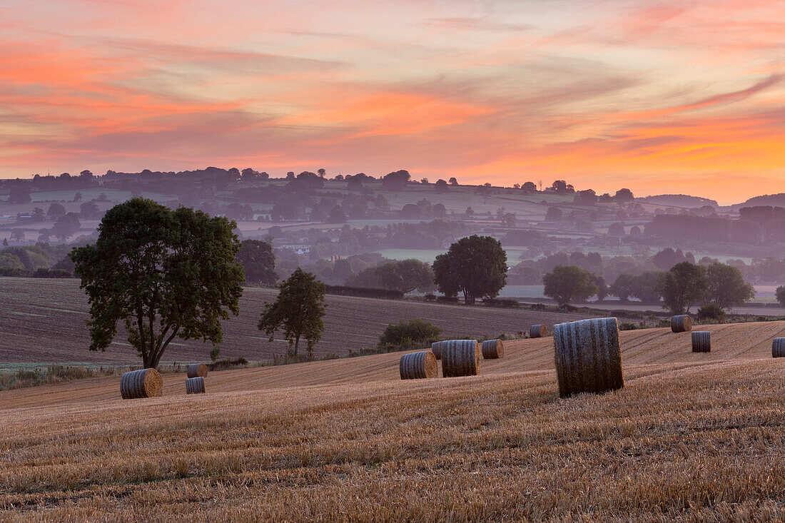 Runde Heuballen im Stoppelfeld in der Morgendämmerung, Chipping Campden, Cotswolds, Gloucestershire, England, Vereinigtes Königreich, Europa