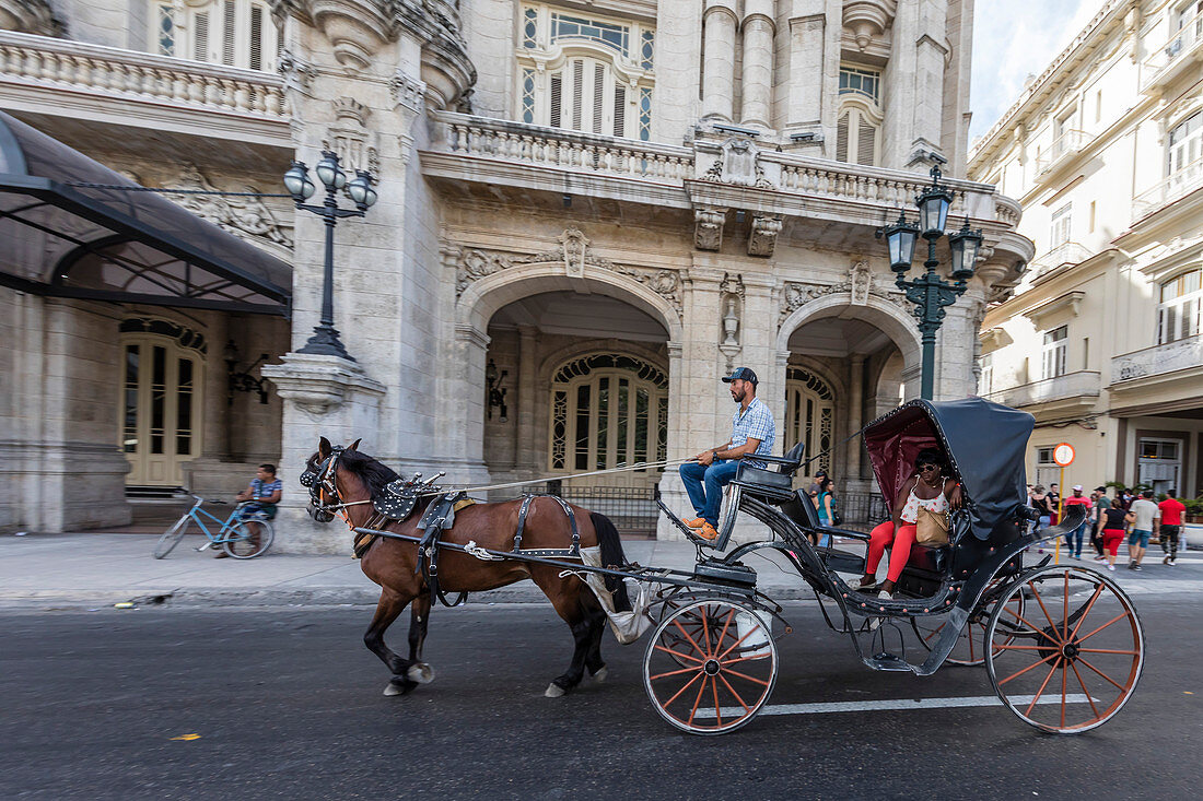 Pferdefuhrwerke vor Ort bekannt als coches zum Mieten in Havanna, Kuba, West Indies, Mittelamerika