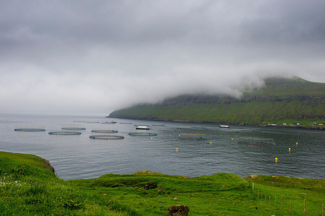 Fischfarm in Estuyroy, Färöer, Dänemark, Europa