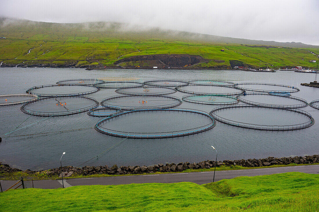 Fischfarm auf den Färöern, Dänemark, Europa