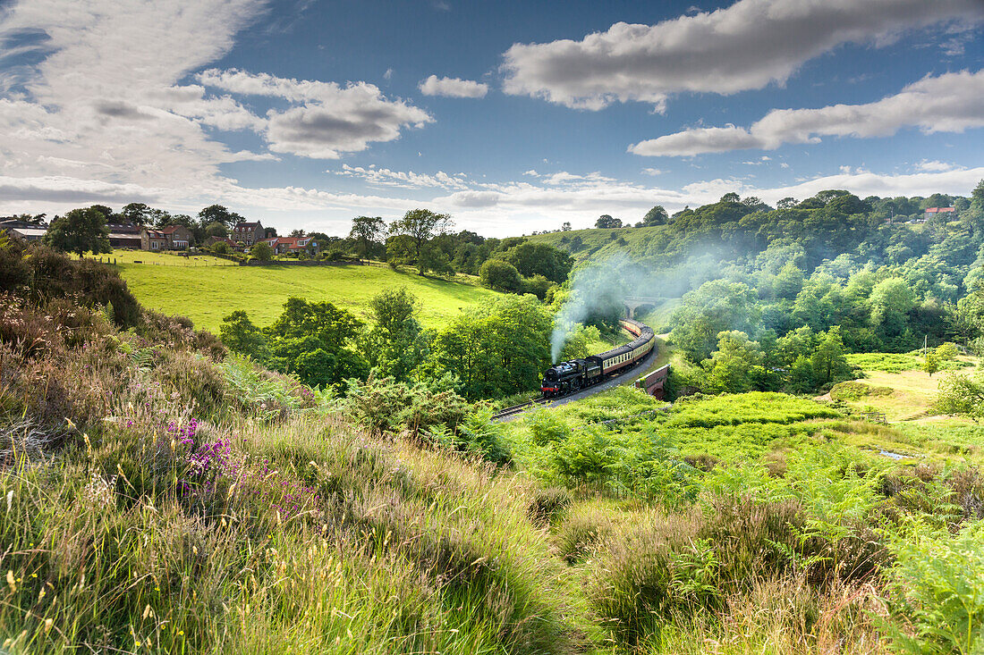 A steam locomotive at Darnholme on the North Yorkshire Railway line travelling from Whitby to Pickering, Yorkshire, England, United Kingdom, Europe