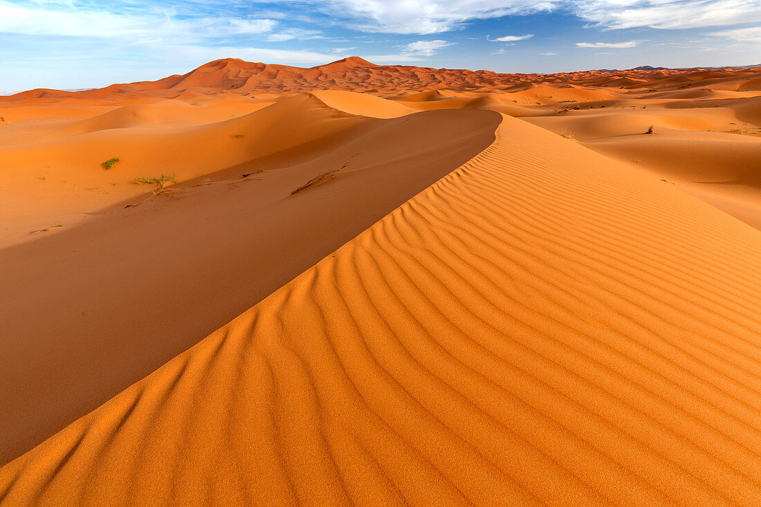 Weitwinkelansicht der Wellen und Dünen des Erg Chebbi Sand Meer, Teil der Sahara in der Nähe von Merzouga, Marokko, Nordafrika, Afrika
