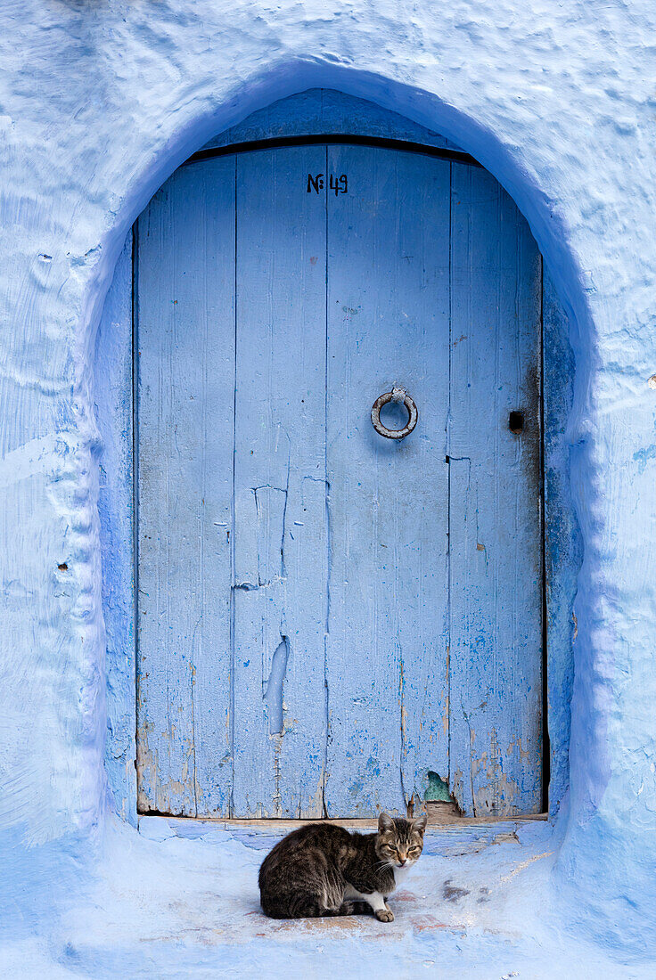Blaue Tür und Wand in der Altstadt von Chefchaouen ,Chaouen, ,Die blaue Stadt, Marokko, Nordafrika, Afrika