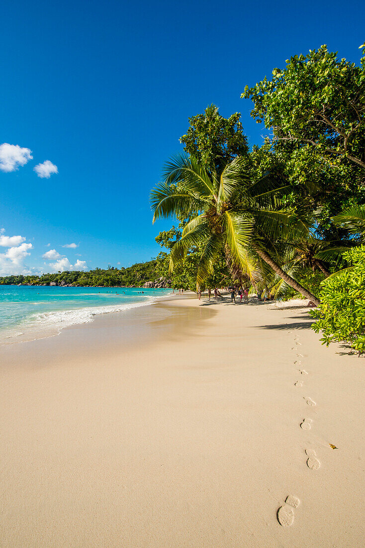 Anse Lazio Beach, Praslin, Republic of Seychelles, Indian Ocean, Africa