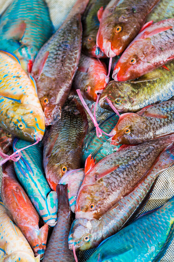 Local fish market, Praslin, Republic of Seychelles, Indian Ocean, Africa