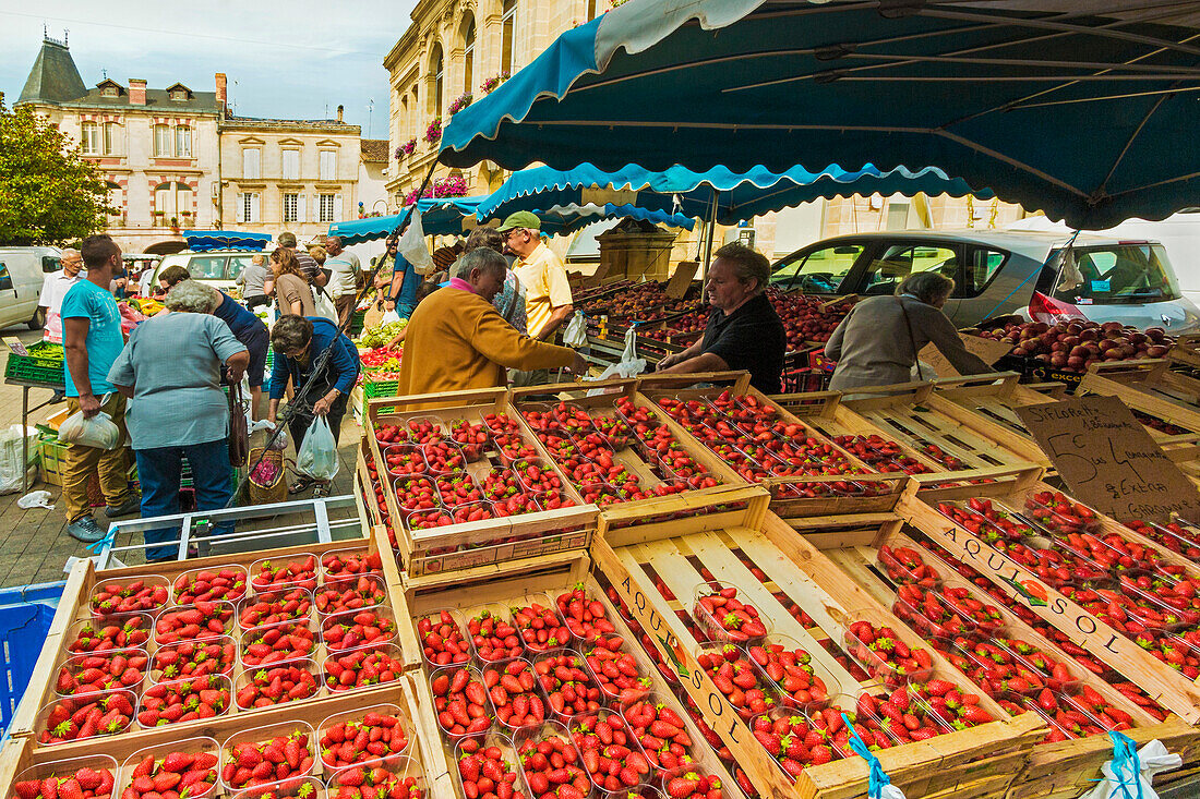 Strawberry Stall im Rathausplatz am Markttag in dieser alten Bastide-Stadt, Sainte-Foy-la-Grande, Gironde, Aquitanien, Frankreich, Europa
