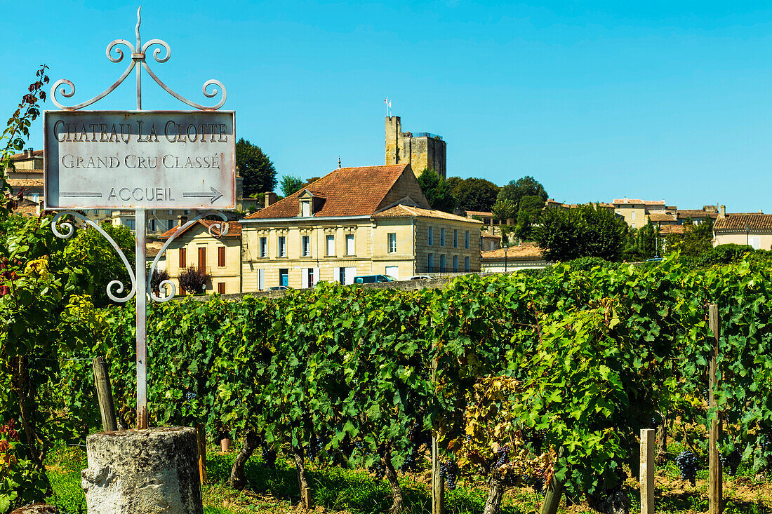 Grand Cru Weinberg von Château La Clotte in dieser historischen Stadt und berühmten Bordeaux Rotweingebiet, Saint Emilion, Gironde, Frankreich, Europa