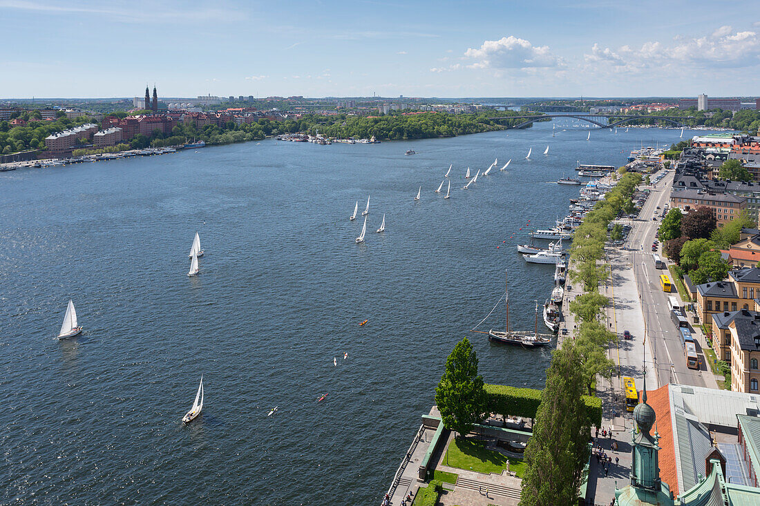 View of yacht race from Town Hall Tower on Sweden's National Day, Stockholm, Sweden, Scandinavia, Europe