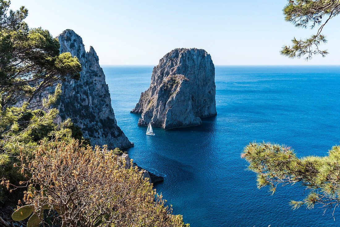 Blick auf die Faraglioni Felsen vor Capri, Insel Capri, Golf von Neapel, Italien