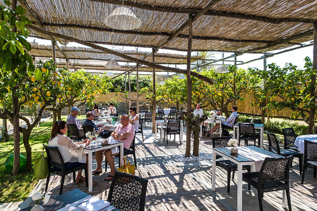 Zitronenbaum mit Früchten im Restaurant La Zagara in Anacapri, Insel Capri, Golf von Neapel, Italien