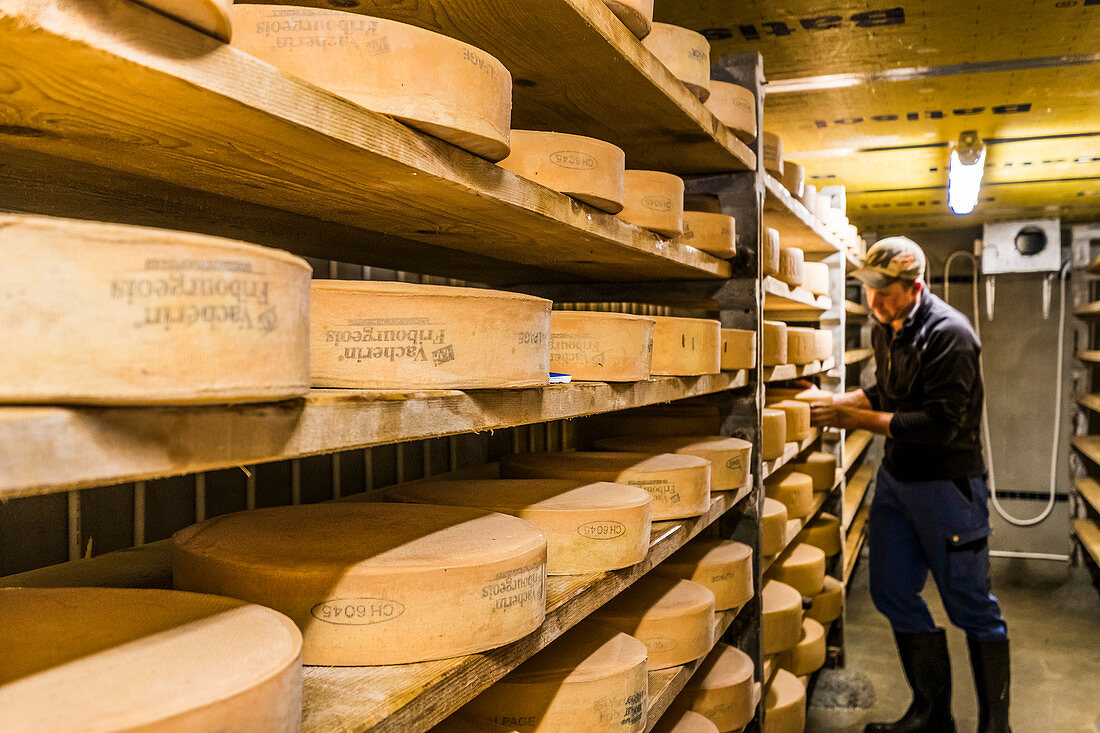 Käseproduktion auf der Alpe le Vuipay in Chatel-Saint-Denis, Gruyère, Kanton Freiburg, Schweiz