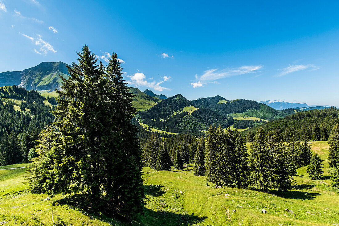 mountains near Chatel-Saint-Denis, Gruyere, Kanton Fribourg, Switzerland