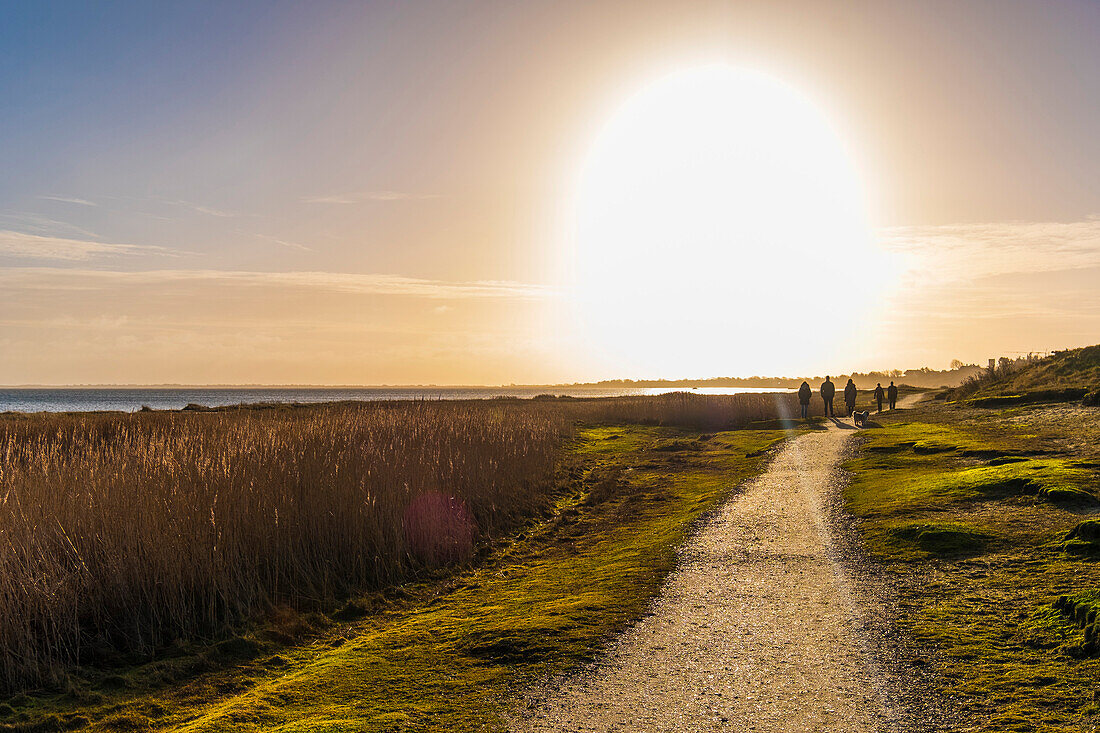 Sunrise at Munkmarsch on the island of Sylt, Schleswig-Holstein, north Germany, Germany