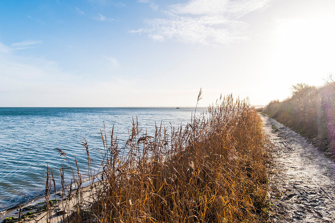 Sonnenaufgang Wattseite in der Bucht von Munkmarsch auf der Insel Sylt, Sylt, Schleswig-Holstein, Norddeutschland, Deutschland