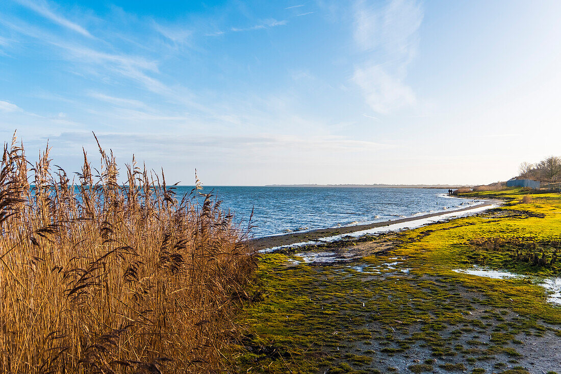 Sonnenaufgang Wattseite in der Bucht von Keitum auf der Insel Sylt, Sylt, Schleswig-Holstein, Norddeutschland, Deutschland