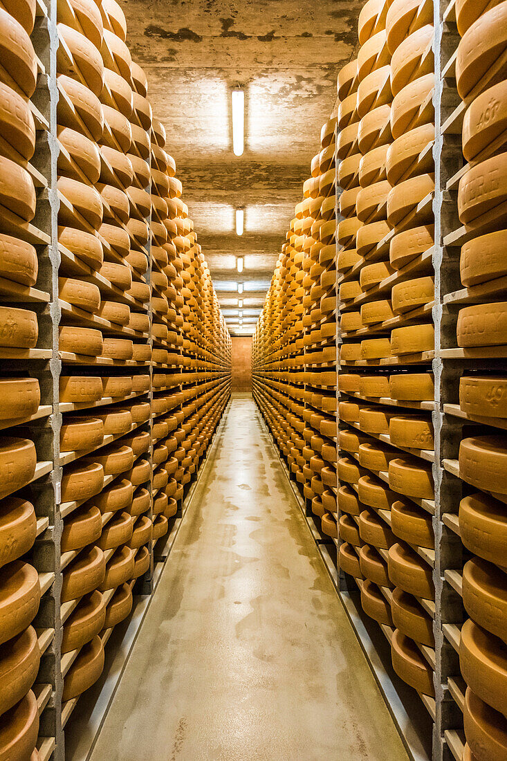 Gruyere cheese, Gruyere, Switzerland