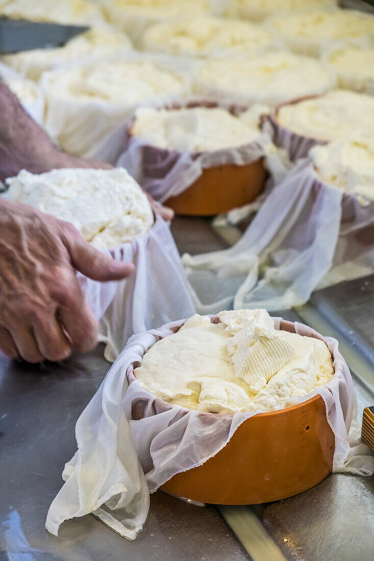 Käseproduktion in Gruyère, Kanton Freiburg, Schweiz