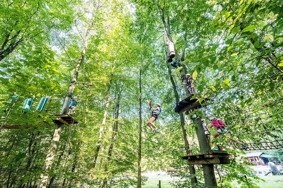 Kletterwald Volksdorf bei Hamburg, Nordeutschland, Deutschland