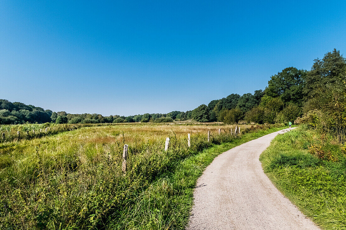 Grassland in Volksdorf near Hamburg, north Germany, Germany