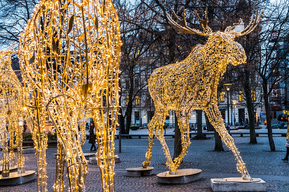 Elch als Weihnachtsdekoration in Stockholm, Stockholm genannt, Stockholm, Schweden