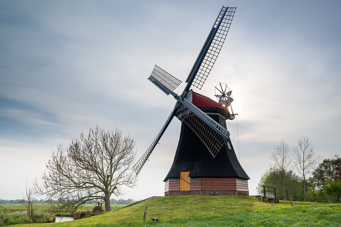 Windmill at Wynhamster Kolk in the evening light, Ditzumerhammrich, Rheiderland, Lower Saxony, Germany