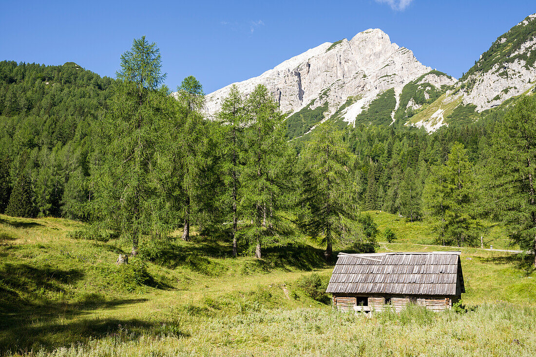 Hütte auf Bergweide vor Berg Mojstrovka, Gorenjska, Oberkrain, Nationalpark Triglav, Julische Alpen, Slowenien